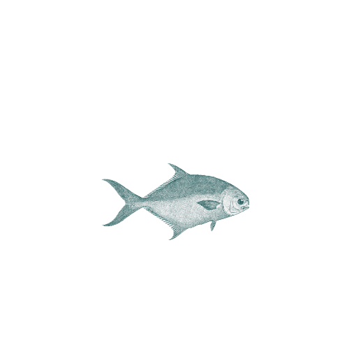 Griffis Seafood Co