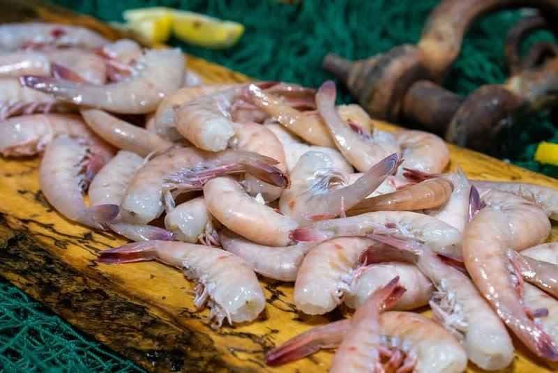 Key West Pink Shrimp