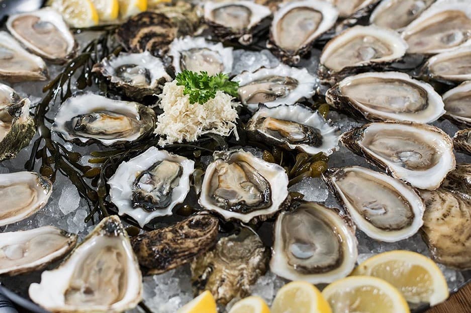 Cedar Key Oysters