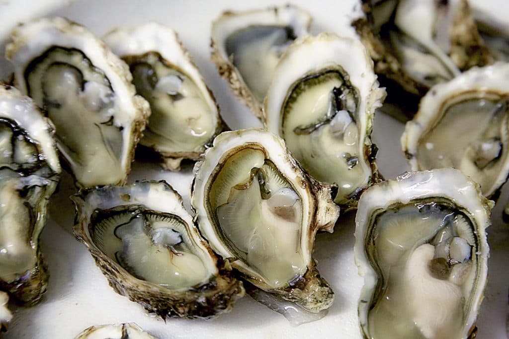 Niantic Bay Oysters