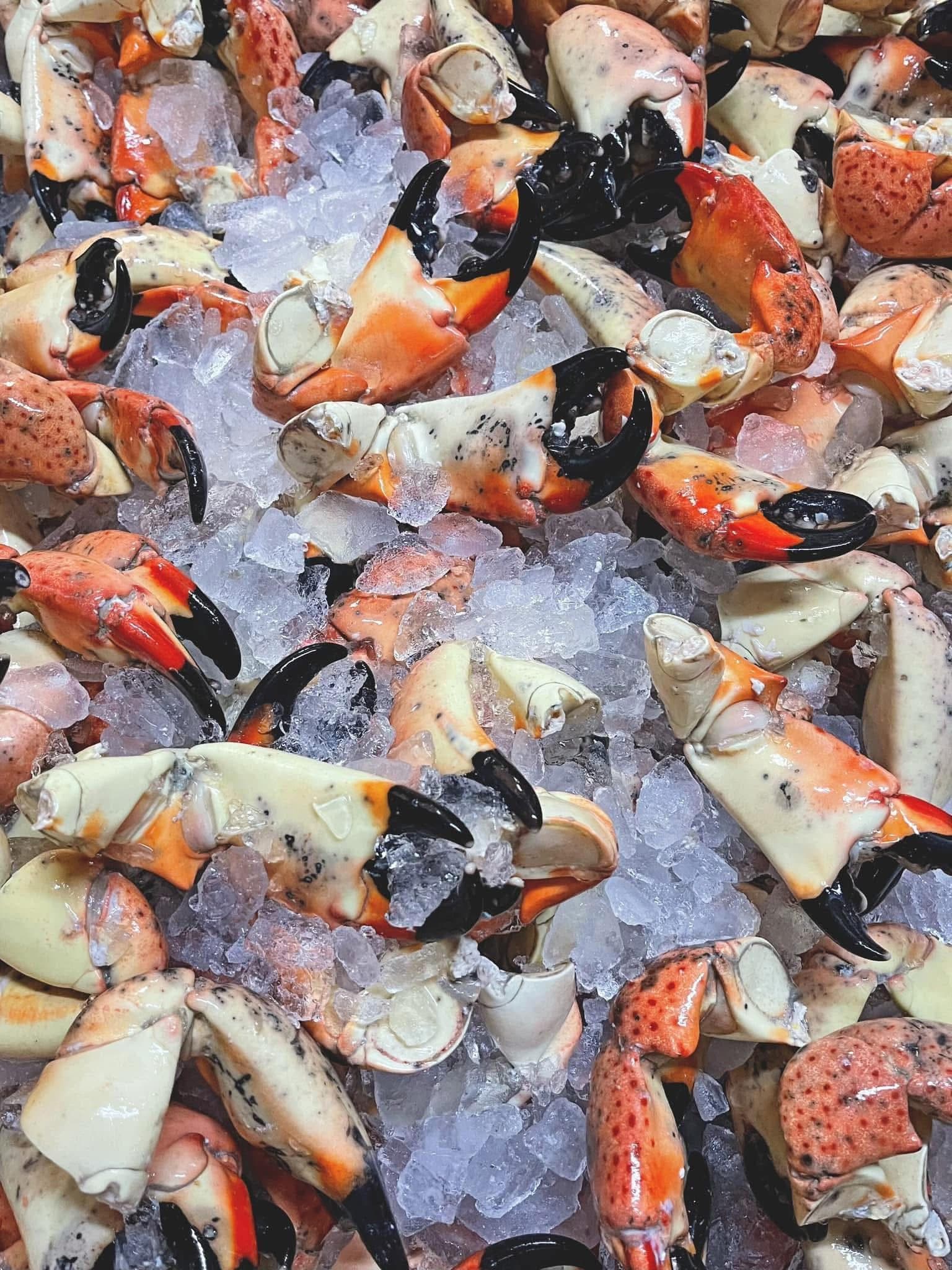 Florida Stone Crab Claws 2